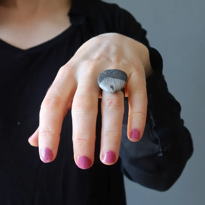 Satin Crystals Fossilized Stone Ring Sea Capsule Black Adjustable Rings