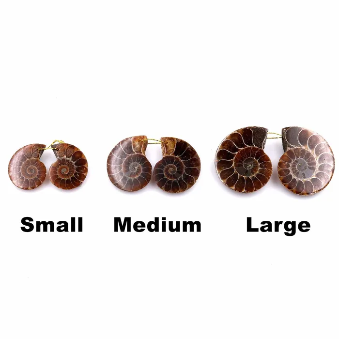 AAA Natural Sliced Ammonite Fossil Earring Pair Cabochon Drilled Matched Gemstone Beads Intrinsic Trading Earrings