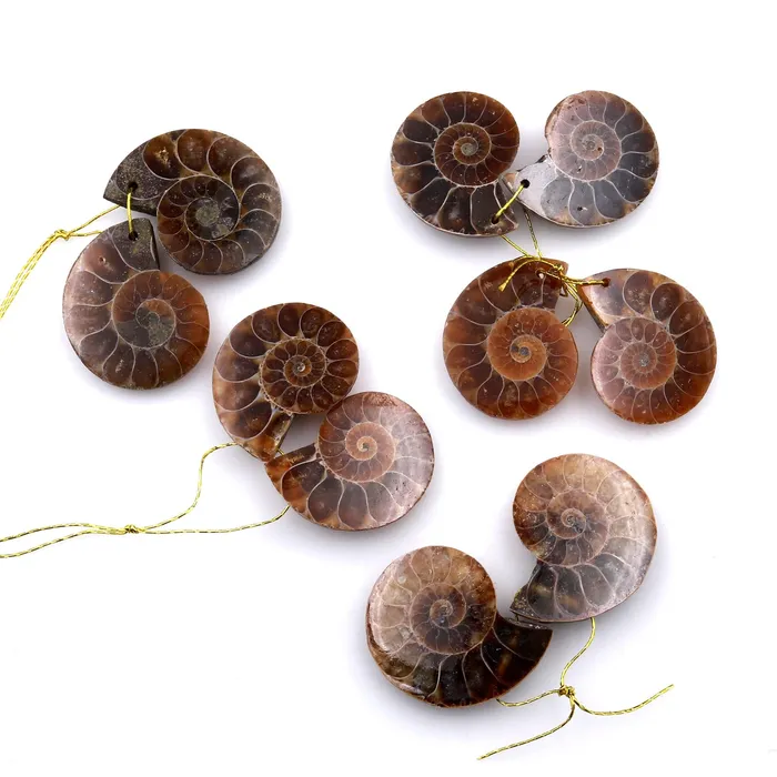 AAA Natural Sliced Ammonite Fossil Earring Pair Cabochon Drilled Matched Gemstone Beads Intrinsic Trading Earrings
