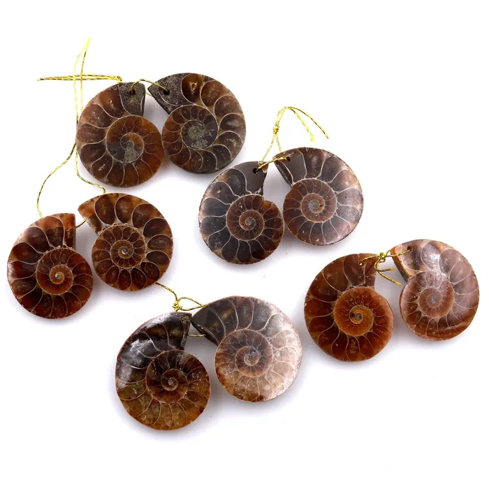 AAA Natural Sliced Ammonite Fossil Earring Pair Cabochon Drilled Matched Gemstone Beads Intrinsic Trading Earrings