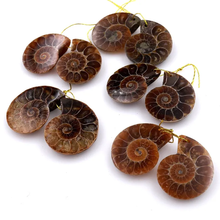 AAA Natural Sliced Ammonite Fossil Earring Pair Cabochon Drilled Matched Gemstone Beads Intrinsic Trading Earrings