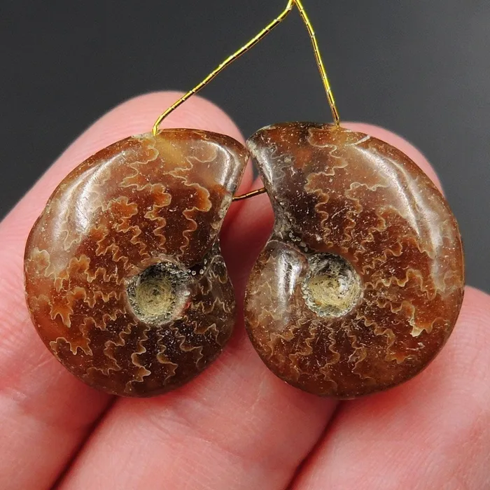 Intrinsic Trading Earrings Drilled Whole Small Ammonite Earring Pair Matched Full Baby Ammonite Fossil Cabochon Cab Pair Drilled Matched Earrings Bead Pair E3291