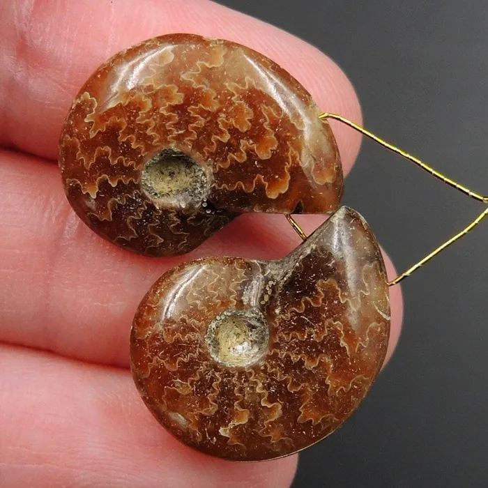 Intrinsic Trading Earrings Drilled Whole Small Ammonite Earring Pair Matched Full Baby Ammonite Fossil Cabochon Cab Pair Drilled Matched Earrings Bead Pair E3291
