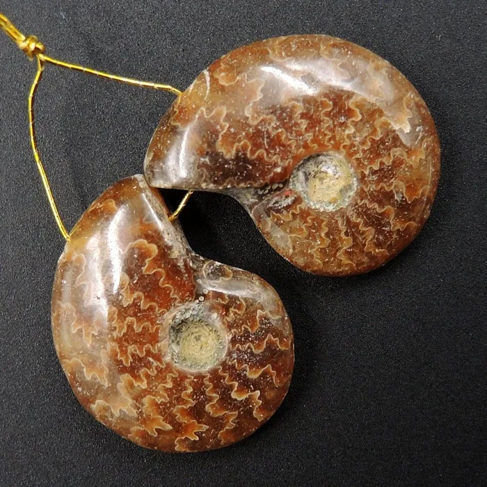 Intrinsic Trading Earrings Drilled Whole Small Ammonite Earring Pair Matched Full Baby Ammonite Fossil Cabochon Cab Pair Drilled Matched Earrings Bead Pair E3291
