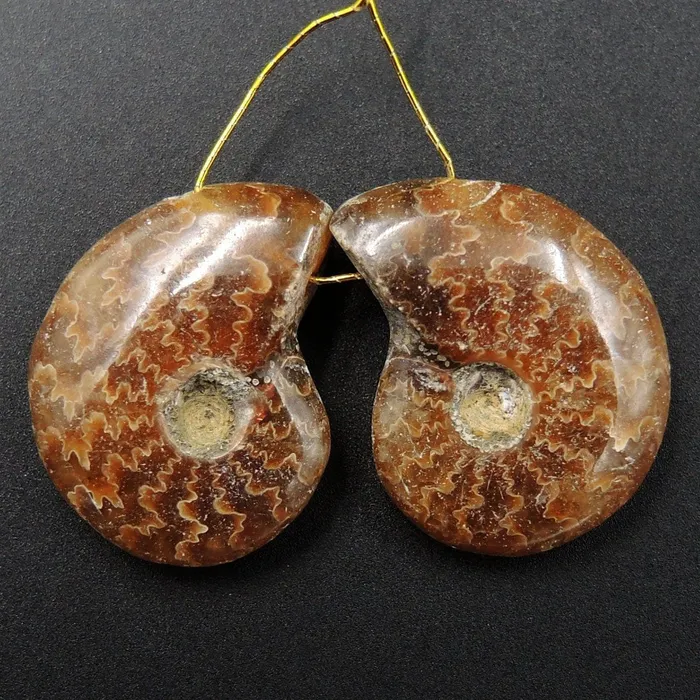 Intrinsic Trading Earrings Drilled Whole Small Ammonite Earring Pair Matched Full Baby Ammonite Fossil Cabochon Cab Pair Drilled Matched Earrings Bead Pair E3291